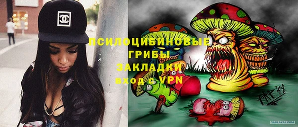 амф Ладушкин