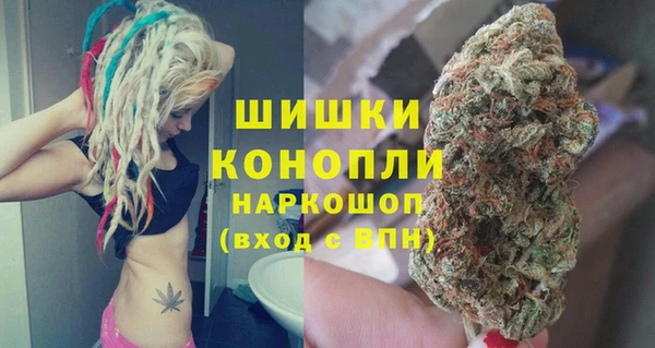 амф Ладушкин