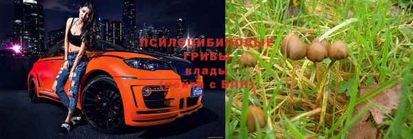 MESCALINE Лагань