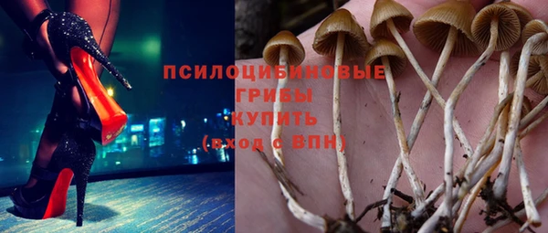 амф Ладушкин