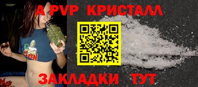 хмурый Тула