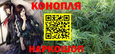 хмурый Тула