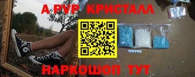хмурый Тула