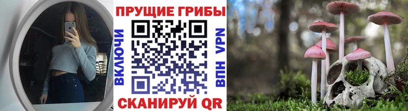 Псилоцибиновые грибы Psilocybe  Североуральск 