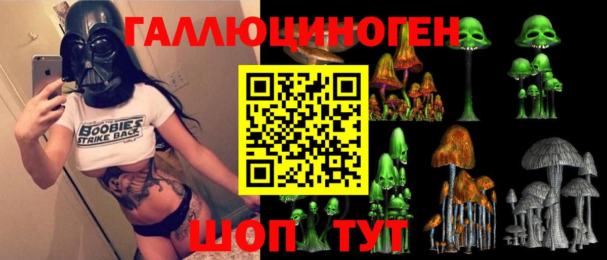 Североуральск  Галлюциногенные грибы Cubensis  Вход с VPN 