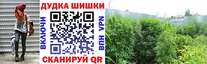OMG вход  наркота  Североуральск  Бошки марихуана Ganja 